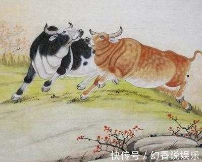 夫妻幸福 家庭安康 有机会添丁纳福的生肖介绍