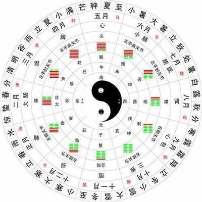 五行是木买什么颜色的车(五行缺木买什么东西)