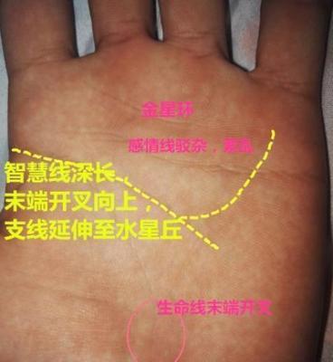 什么手相的人创业更容易成功飞黄腾达