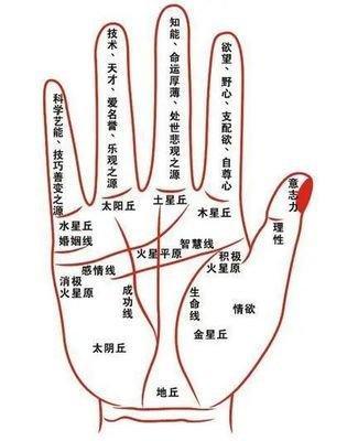 什么手相的人最有福气呢 哪几种手相的人福气好
