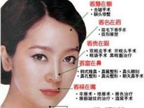 女人3种鼻子好命图 这几种鼻子面相的女人命好