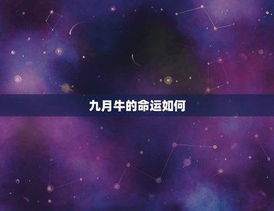 1981年10月11日中午11-13点出生性格、运势和命运