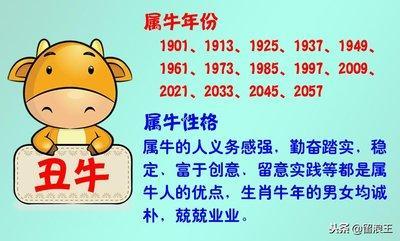 1981年10月17日中午11-13点出生性格、运势和命运