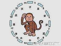 1981年10月18日晚上21-23点出生性格、运势和命运