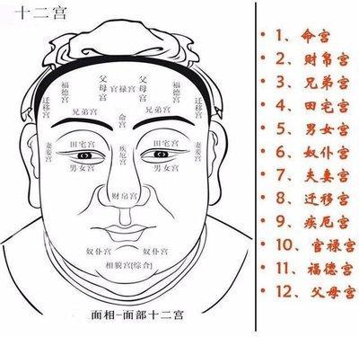 女人下巴较窄的面相代表着什么 女人下巴面相解析