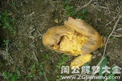 做梦梦见烂瓜 腐烂的瓜类是什么意思