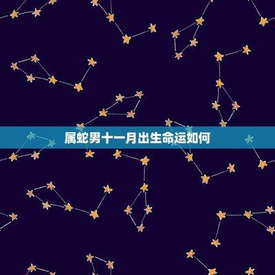 1981年10月26日中午11-13点出生性格、运势和命运