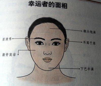 教你看女人圆下巴面相图解 女人下巴圆是什么意思