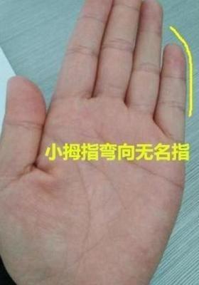 教你看手相分析怎么样的女人是好老婆值得娶