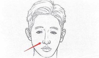 教你辨析面相看什么是短鼻 鼻子短的人命运如何