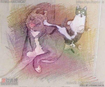 做梦梦见狗和猫打架 而自己帮了猫