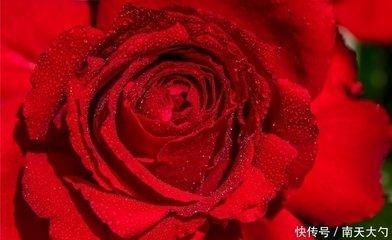 最不能嫁的星座男 嫁了之后会后悔的