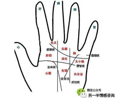 教大家认识手相的基础知识 手相知识全解