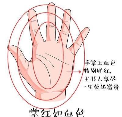 最为富贵的3种手相特征 这几种手相的人很富贵
