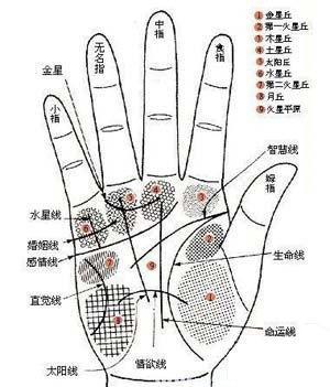 最为富贵的3种手相特征 这几种手相的人很富贵