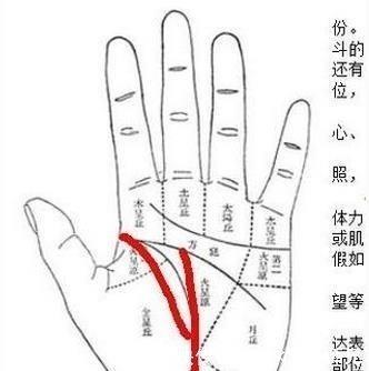 旺夫的女人手相特征有哪些不同之处