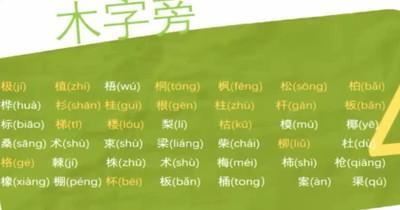 木字旁的字有哪些_木字旁的字,木字旁的所有汉字