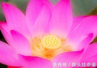 月底有贵人相助 不仅收获正财 偏财运同样旺盛的生肖