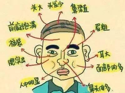 旺妻相是什么样 男人旺妻的面相如何