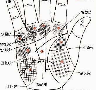 有两条感情线说明什么 分析两条感情线的人命运好坏