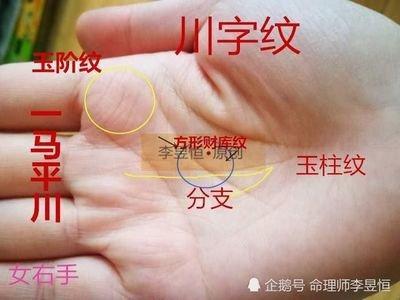 有两条生命线的女人就有两条命吗 生命线的寓意是什么