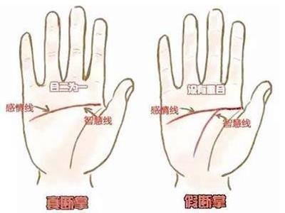断掌对人生有何影响 断掌的人命运好吗