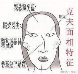 最克夫女人面相有啥特征 怎样的女人克夫严重