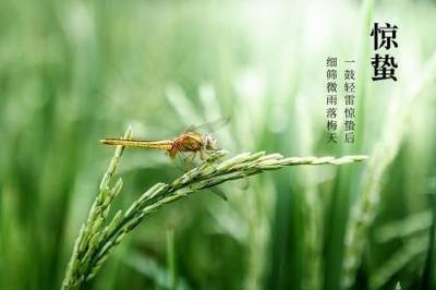 未时出生人命运，未时出生的人命好吗