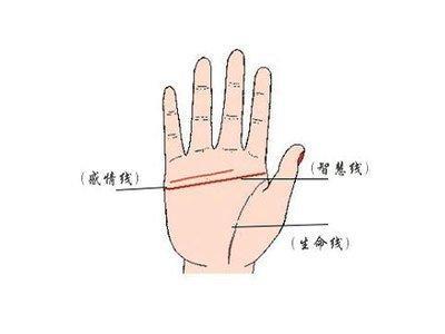断掌手相图解几种类型分别有什么含义