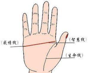 断掌手相图解大全 断掌人命运好坏解释 断掌手相图解大全 断掌人命运好坏解释