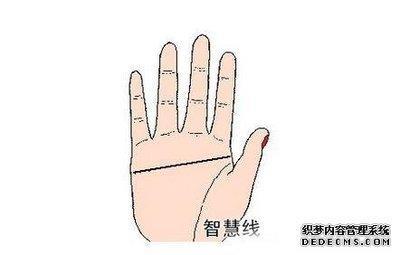 断掌手相图解大全女 女人断掌有什么含义