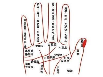 断掌手相图解大全男人的命运 男人断掌好不好