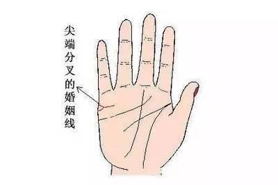 最全手相婚姻线图解大全 手相婚姻线含义分析