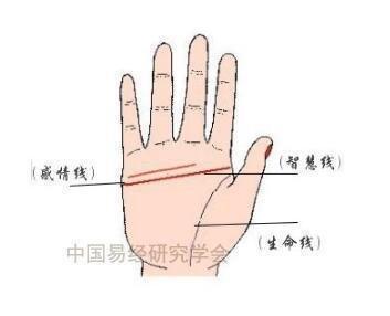 最全生命线知识讲解 手相生命线有什么含义 最全生命线知识讲解 手相生命线有什么含义
