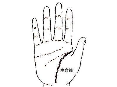 最全生命线知识讲解 手相生命线有什么含义 最全生命线知识讲解 手相生命线有什么含义