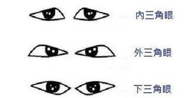 最全的三角眼面相的详解 三角眼的人命运如何