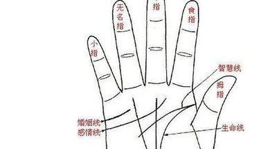 最全面的女人感情线之手相分析 女人感情线看婚姻