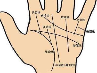 最全面的女人感情线之手相分析 女人感情线看婚姻
