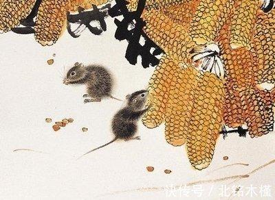 未来10天健康运不佳的三大生肖，如何旺运保平安