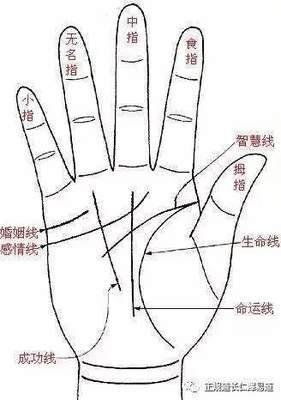 有这3种手相的女人婚姻运势非常好富贵无忧