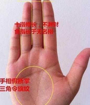 有这些手相的女人事业好能赚钱能力一流