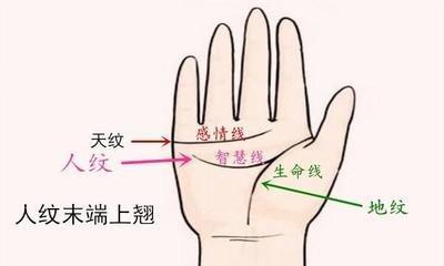 拥有哪种手相特征的人容易取得事业成功会发达
