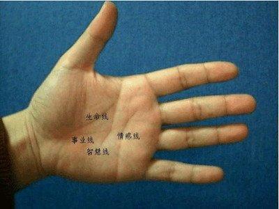 有这几种手相特征的人容易赚大钱财运好