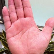 有这几种手相特征的人容易赚大钱财运好