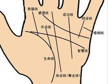 有这几种手相的人事业很难获得成功表现好