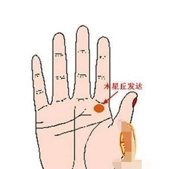 有这几种手相的人迟早能发财好好珍惜