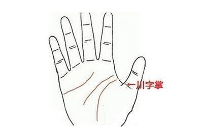拥有川字掌的人有怎样的运势特点 长有川字掌说明什么