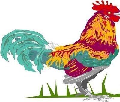 十一月出生的属鸡人命运好还是不好