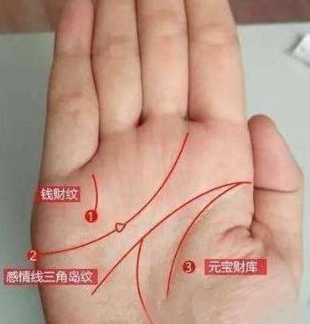有这种手相的女人财库丰厚能赚大钱财多