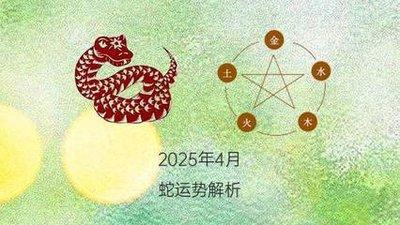 1981年12月8日晚上23-24点出生性格、运势和命运